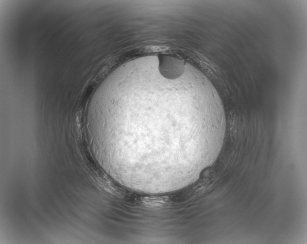 X0000067830373200605041630