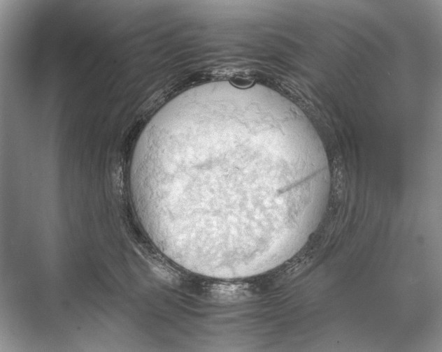 X0000067830375200605041630