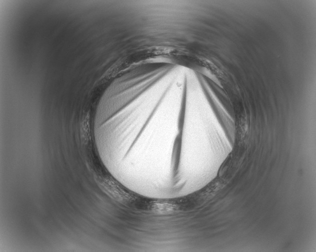 X0000067830376200605041630