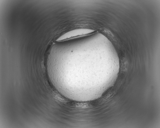 X0000067830377200605041630