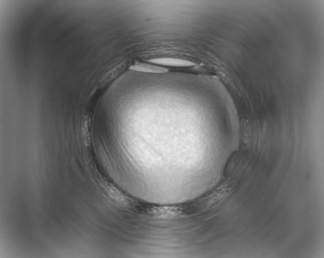 X0000067830378200605041630