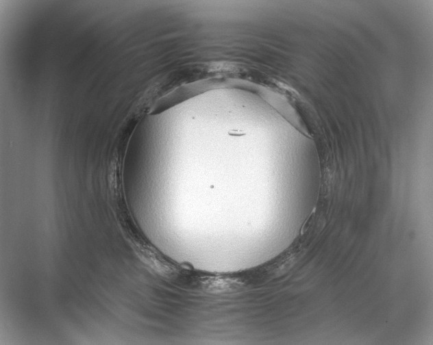 X0000067830379200605041630