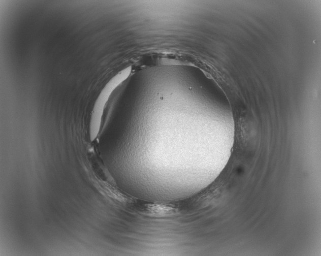 X0000067830380200605041630