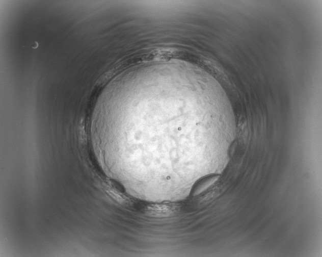 X0000067830381200605041630