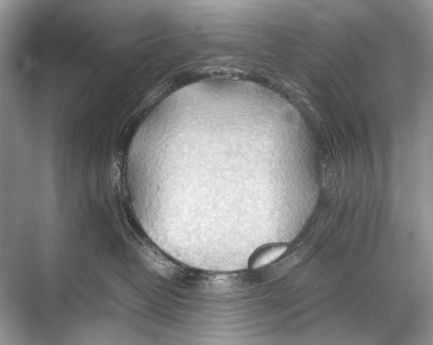 X0000067830382200605041630