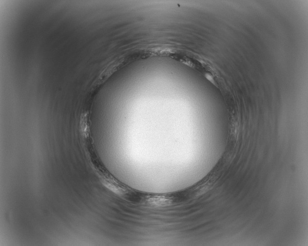 X0000067830383200605041630