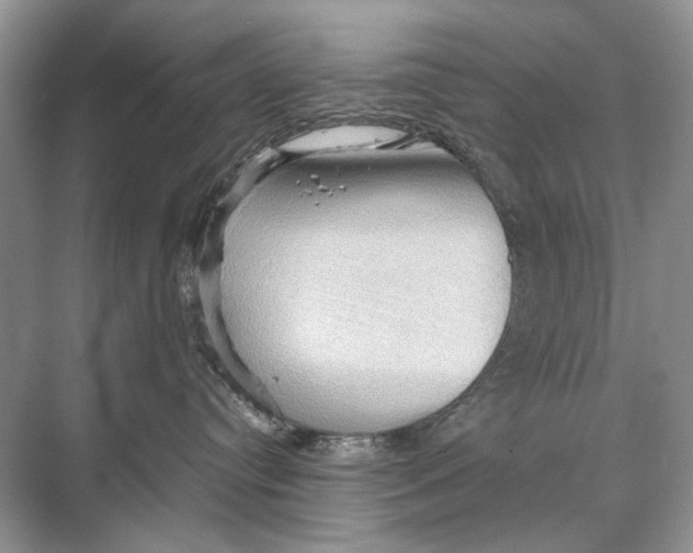 X0000067830384200605041630