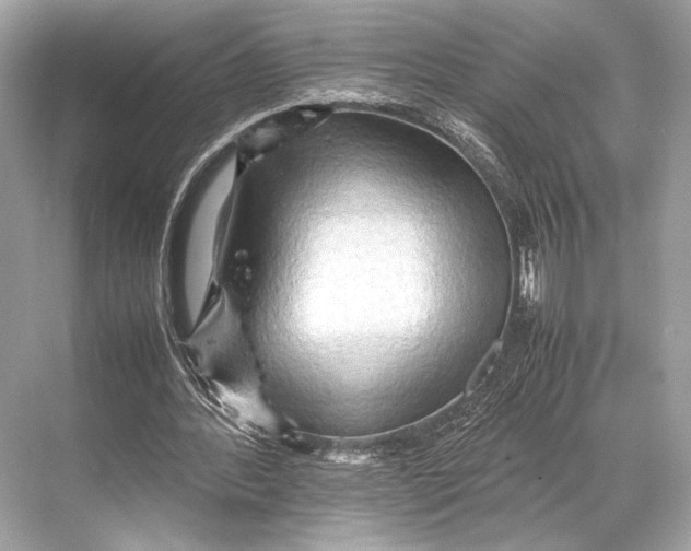 X0000067830388200605041629