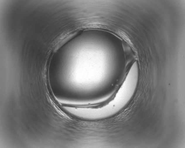 X0000067830389200605041629