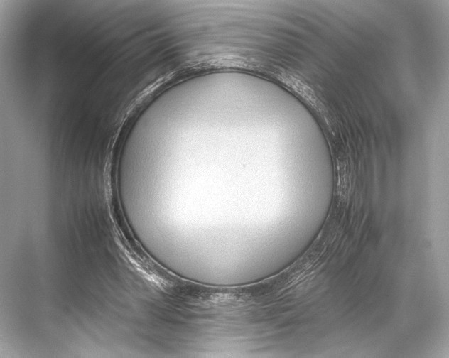 X0000067830390200605041629