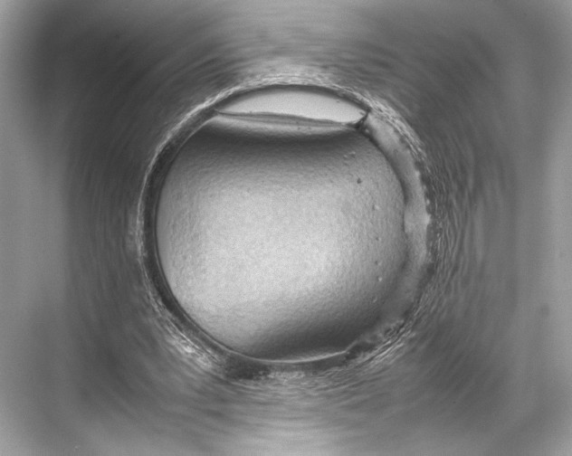 X0000067830391200605041629