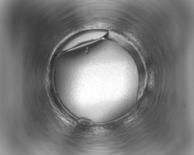 X0000067830392200605041629