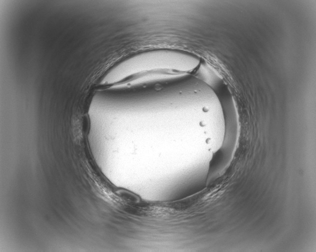 X0000067830393200605041629