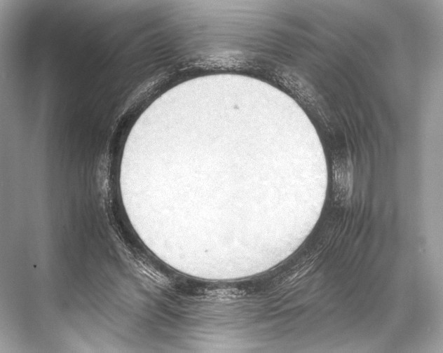 X0000067830396200605041629