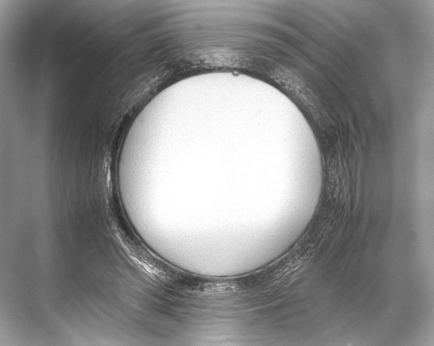 X0000067830398200605041629