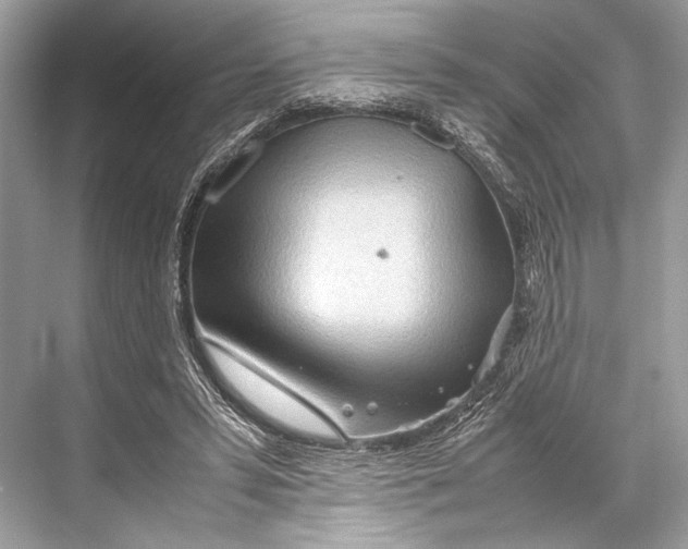 X0000067830399200605041629