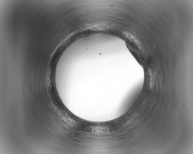 X0000067830400200605041629