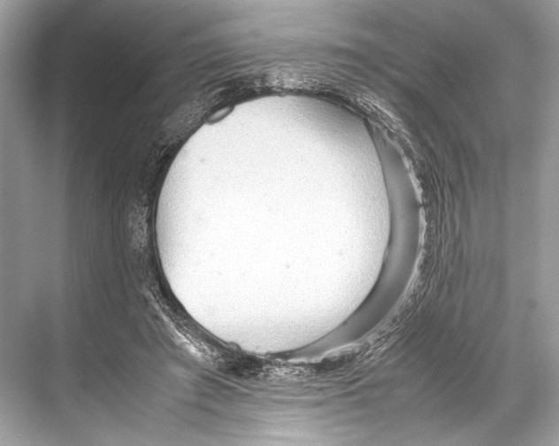 X0000067830401200605041629