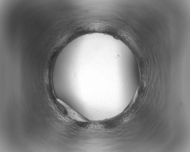 X0000067830403200605041629