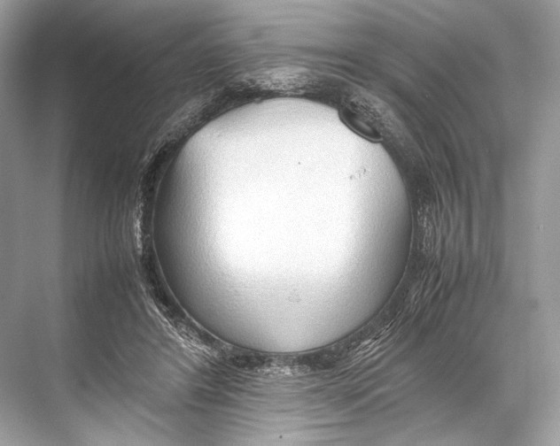 X0000067830404200605041629