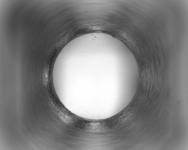 X0000067830406200605041629