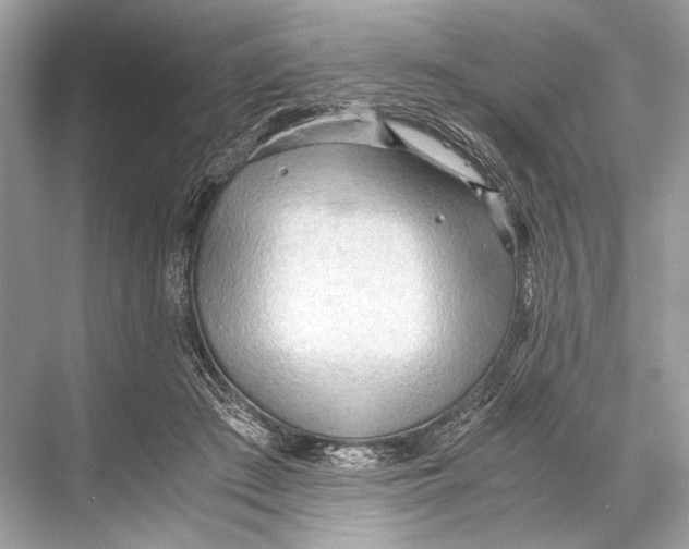 X0000067830409200605041629