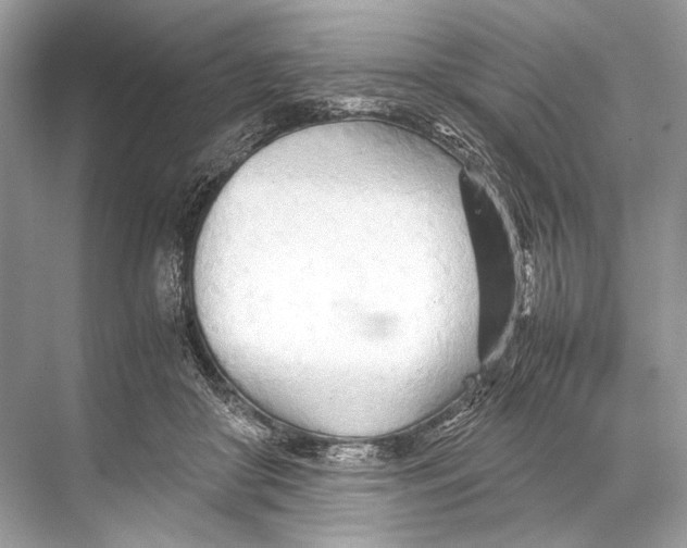 X0000067830410200605041628