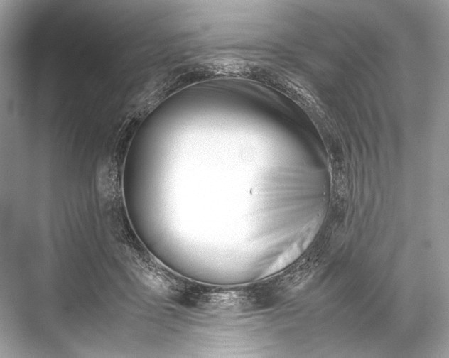 X0000067830411200605041628