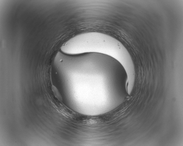 X0000067830412200605041628