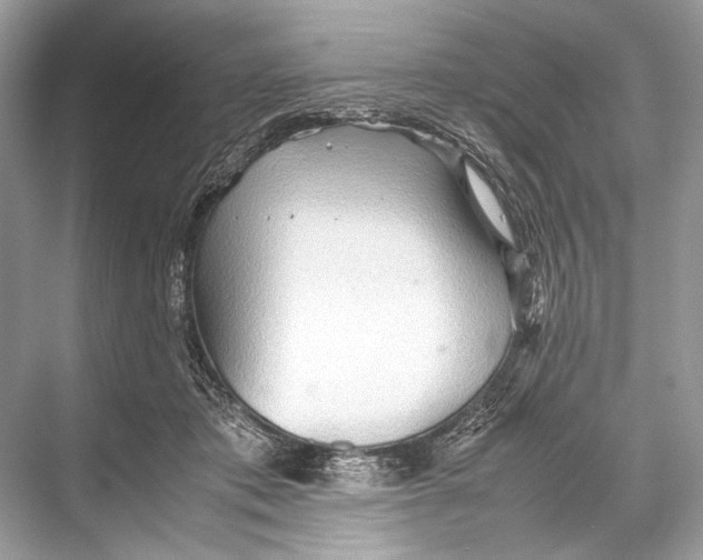 X0000067830413200605041628