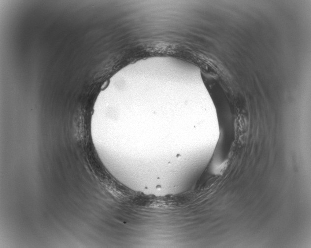 X0000067830416200605041628