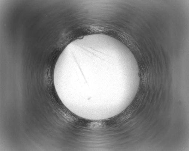 X0000067830418200605041628