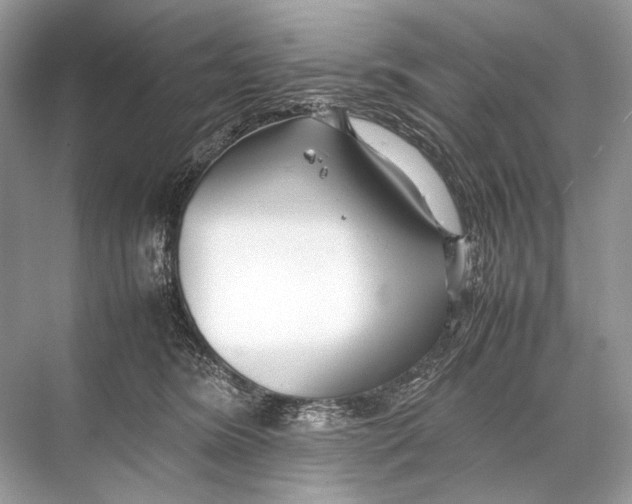 X0000067830420200605041628