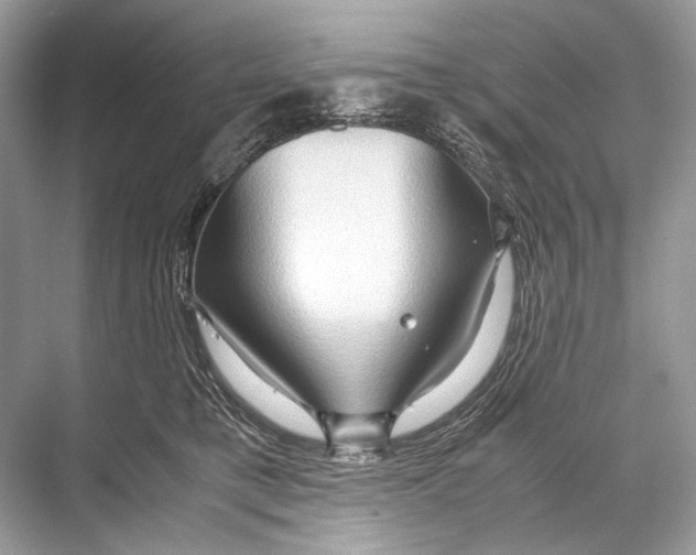 X0000067830421200605041628