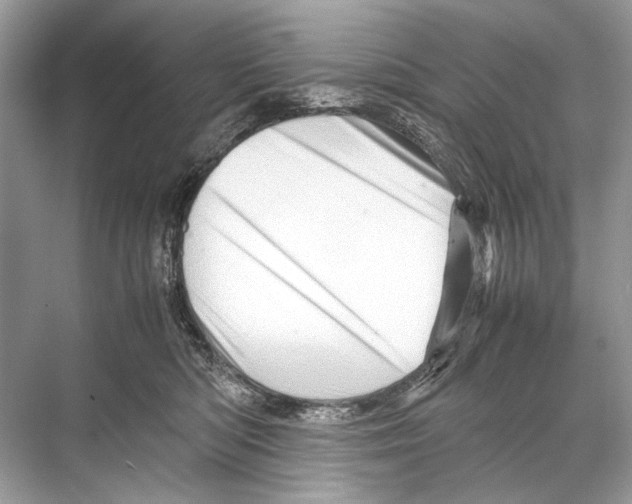 X0000067830422200605041628