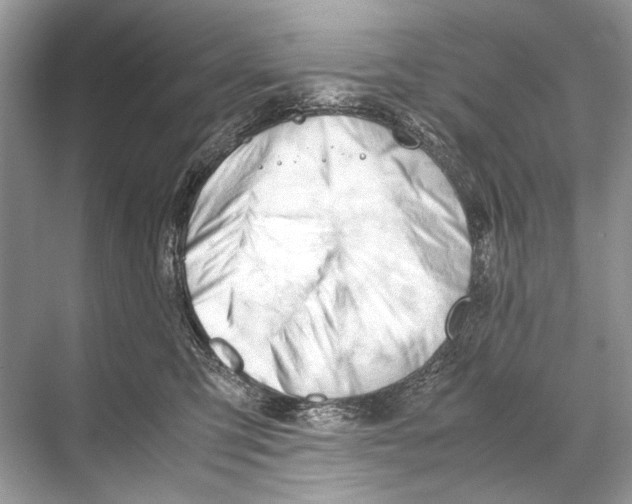 X0000067830423200605041628