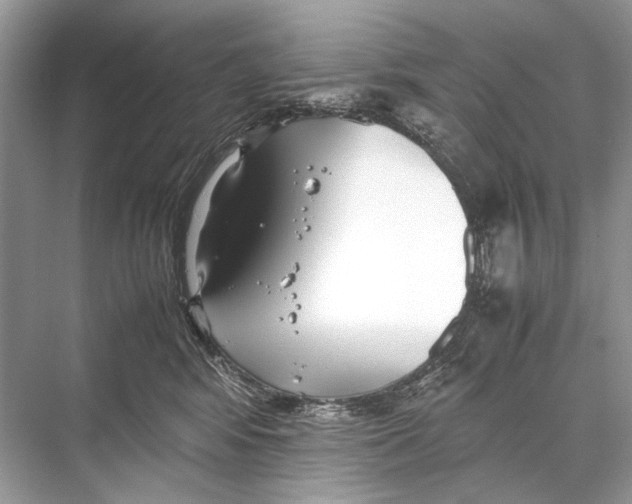 X0000067830424200605041628