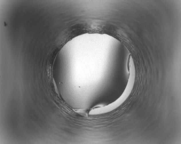 X0000067830425200605041628