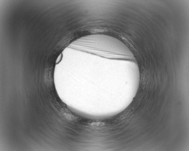 X0000067830426200605041628