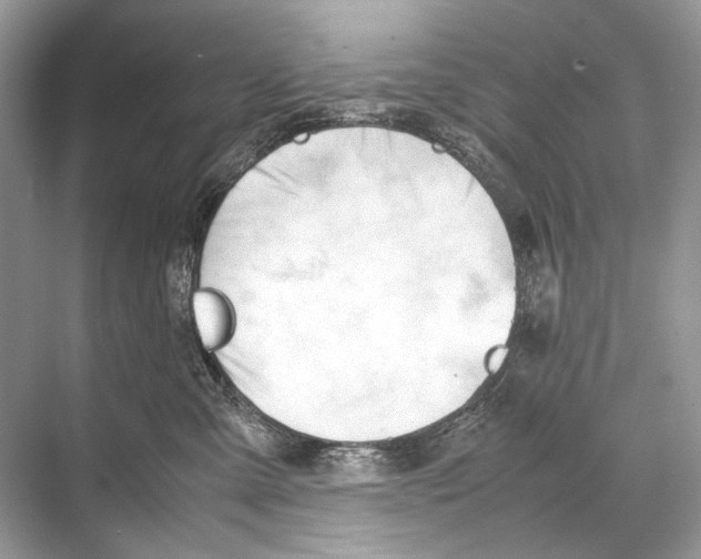 X0000067830427200605041628