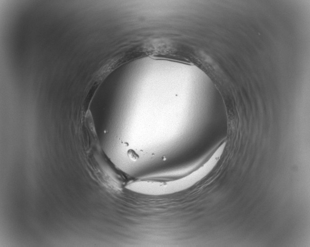 X0000067830429200605041628