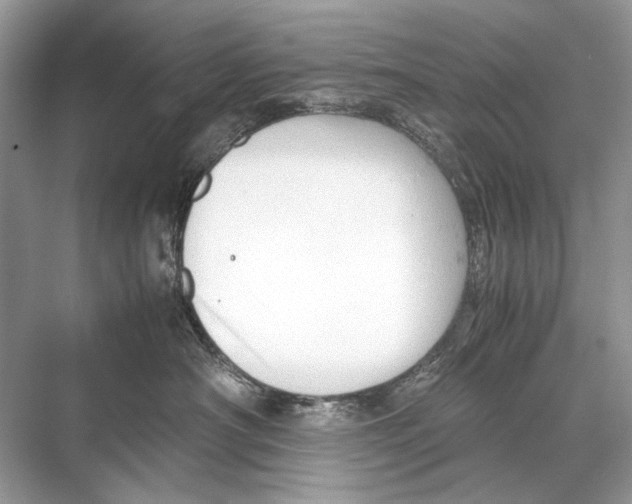 X0000067830430200605041628