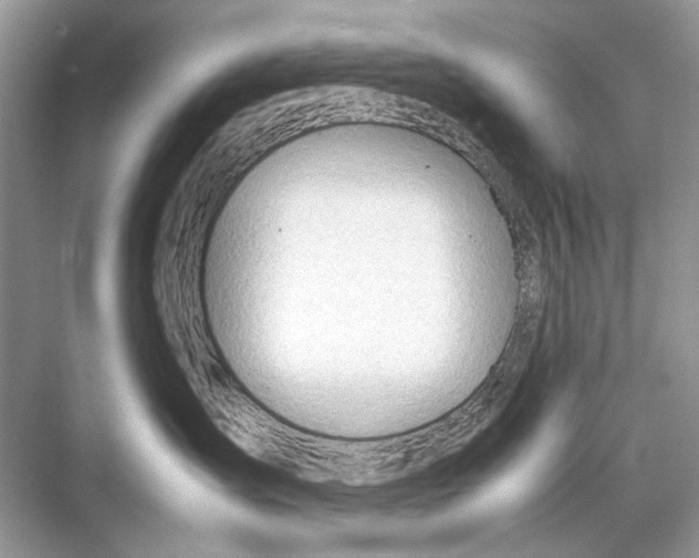 X0000067830431200605041628