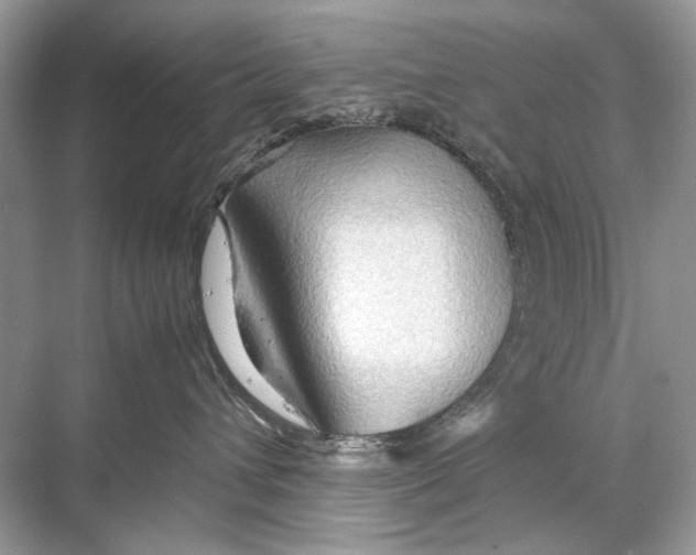 X0000067830432200605041628