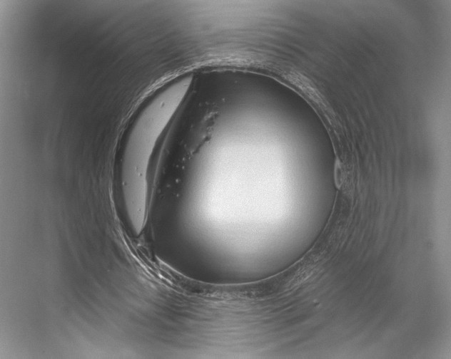 X0000067830434200605041627