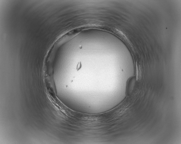 X0000067830435200605041627