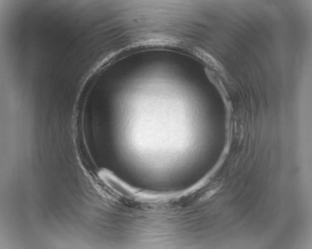 X0000067830436200605041627