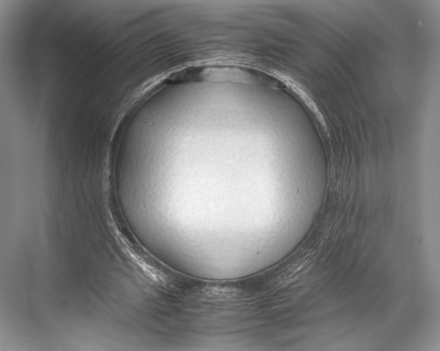 X0000067830437200605041627