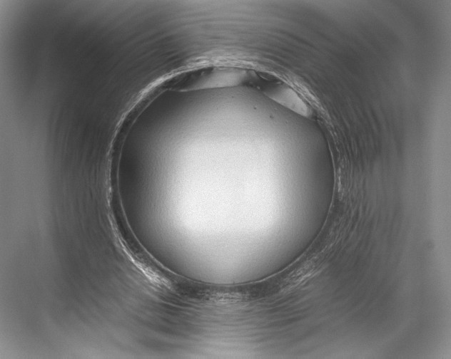 X0000067830438200605041627