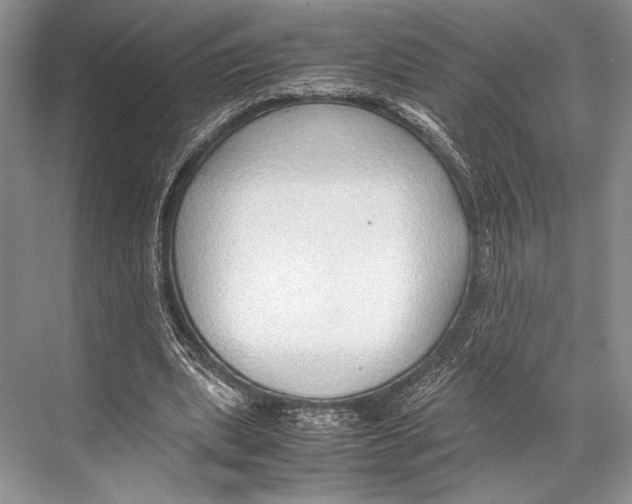 X0000067830439200605041627